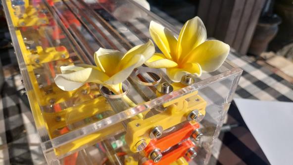 A BrailleRAP in the sun with 2 frangipani flowers attached to the top cover.